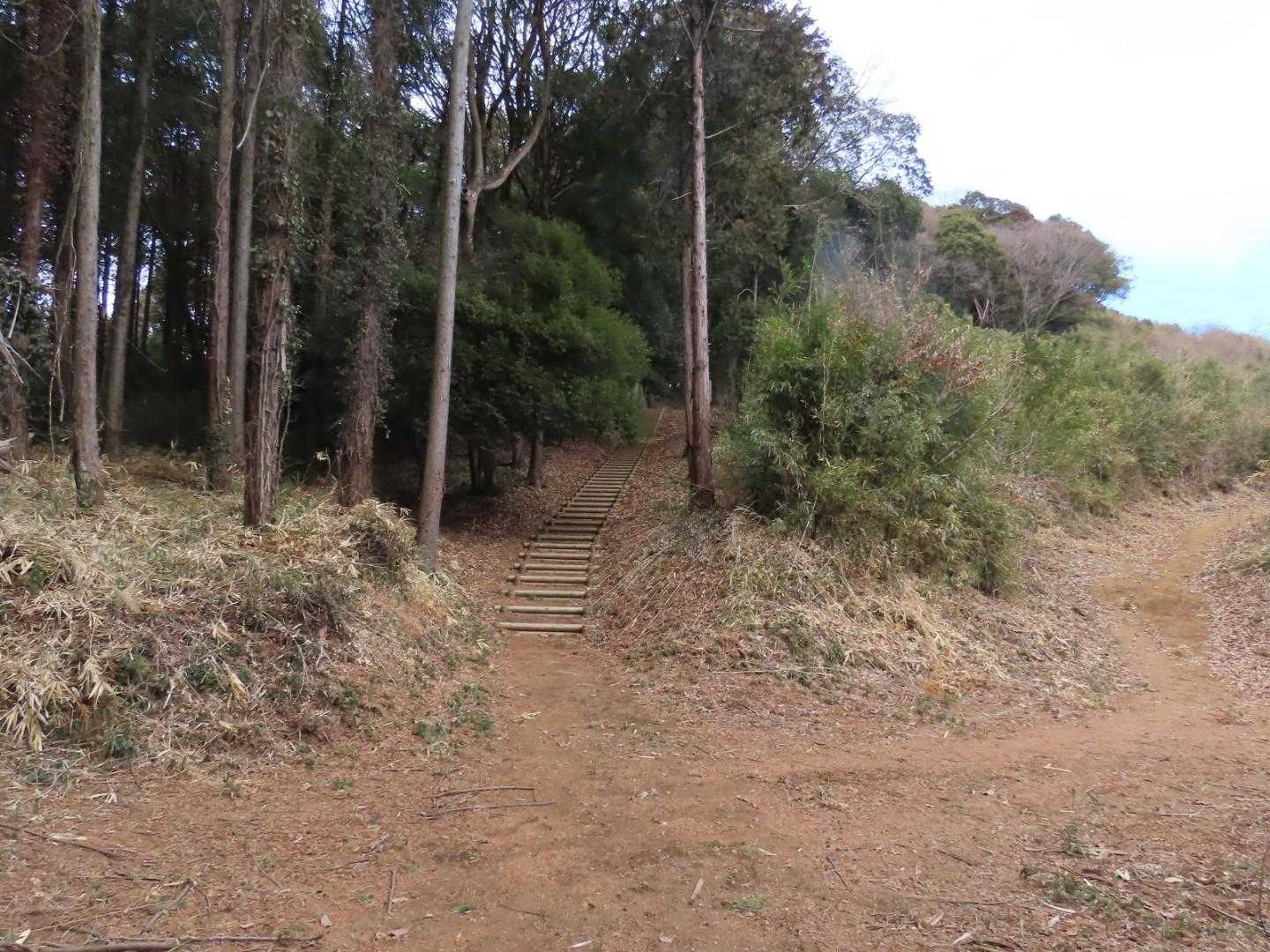 階段を登ります。右の道は作業道らしい。
