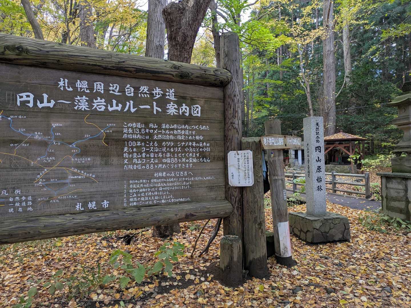 円山周遊｜札幌市街を一望できる市民憩いの山は、友人や家族と一緒に。の写真
