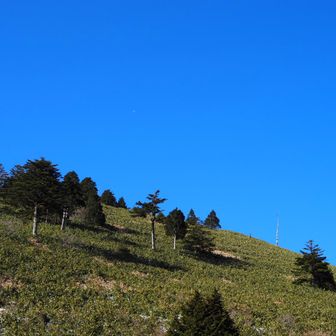 青一色の綺麗な晴天！
しかし期待していた雪景色がまるでない…