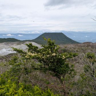 甑岳