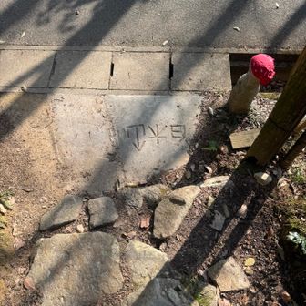 ちゃんと歩いて下山🫡