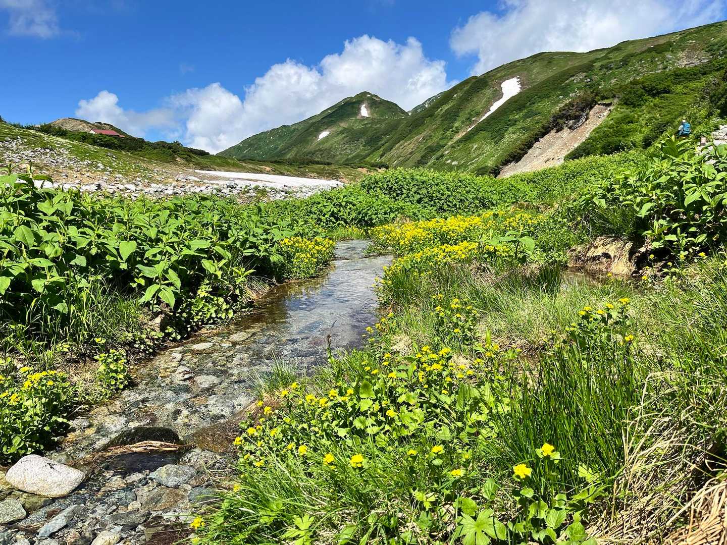 無事に渡ってこの景色✨