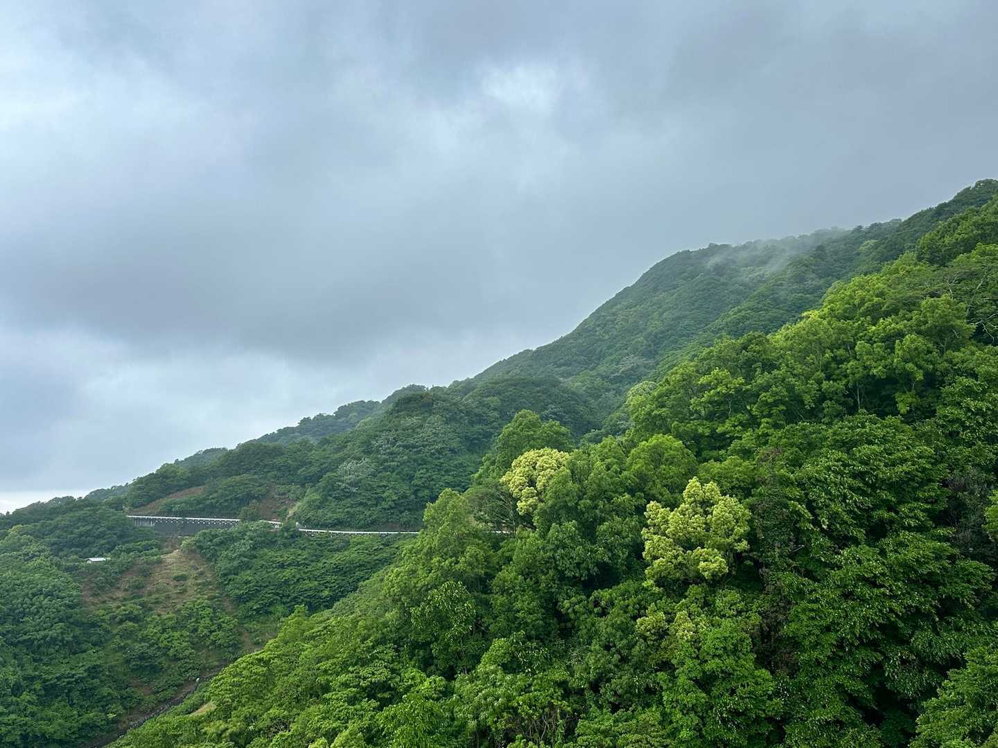 雨は止みましたが、またいつ降り出すかわからないのでレインウェアは着たままです。