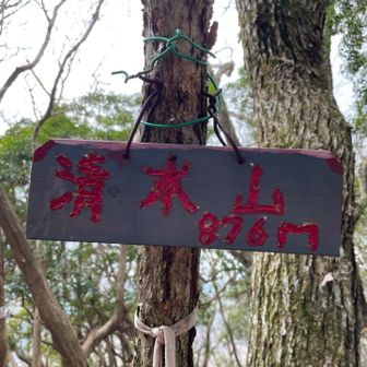 グレーピークの清水山⛰️

もうヘトヘトでしたが、行き合った方と言葉交わして元気回復❤️‍🩹
