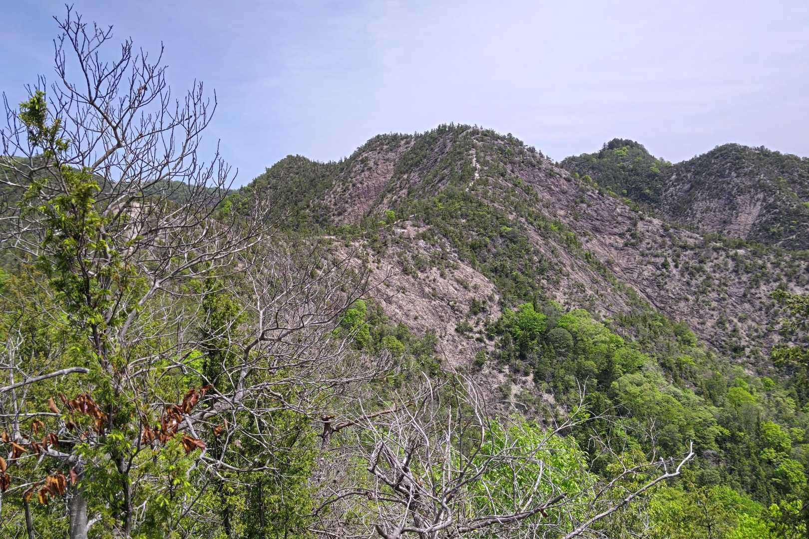 目指す山🫱