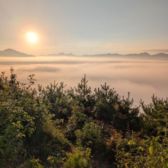 雲海の上に太陽が上がって来ます。ご来光を見て下山する人も多いです。