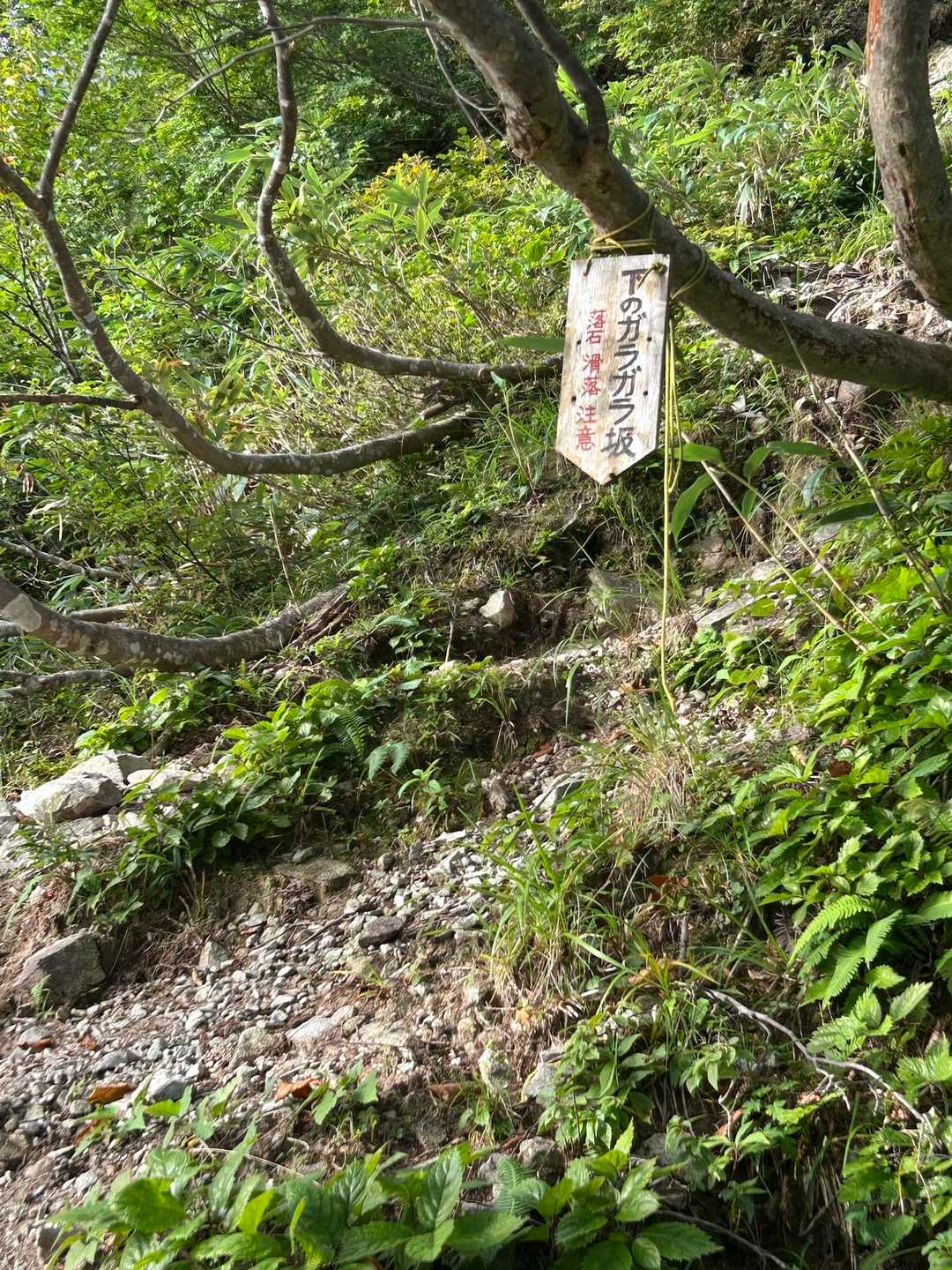 上と下で2箇所ガラガラ坂があります
本日の尻もち一回😆