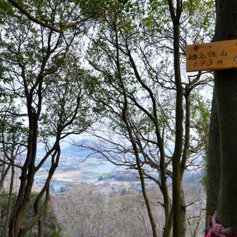 隣の雌上佐山に立ち寄って下山