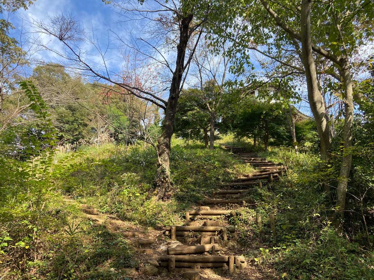権現山を降りて振り返ったところ