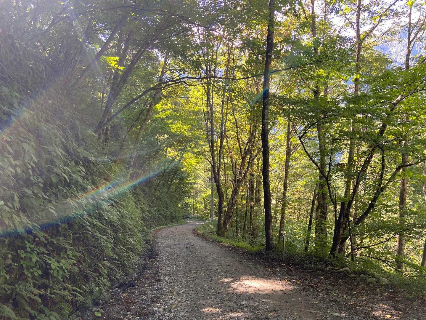 右俣林道で新穂高へ
新穂高P5に停めることができたタツさんが、新穂高登山者センターから鍋平まで乗せていってくださり、今までで1番VIP待遇な下山となりました笑
ご一緒いただいた、タツさん、まじゃさん、楽しい２日間でした！ありがとうございました☺️