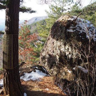 立石に到着
王竜寺口を示す看板が無くなっているのが少し寂しい😂
ここからは立石コースで東峰へ