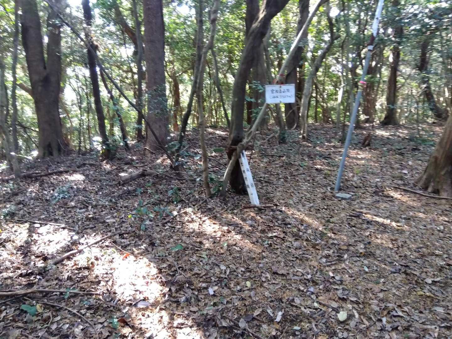 山頂の様子　眺望はなし。