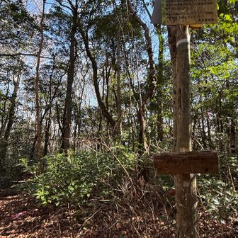 タワラギ山⛰️