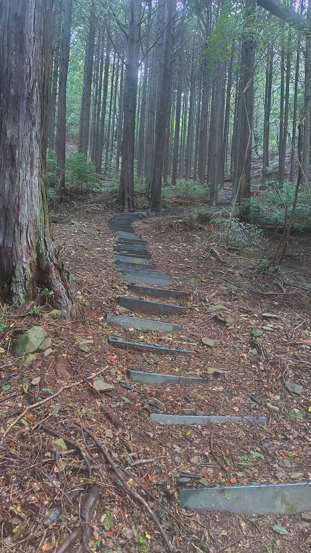 良く整備されていました🙆