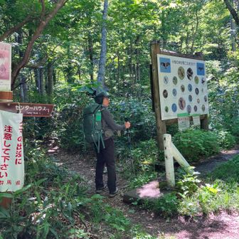 湿原からブナ平へ行く道は、通行止めらしいので、こちらから。
