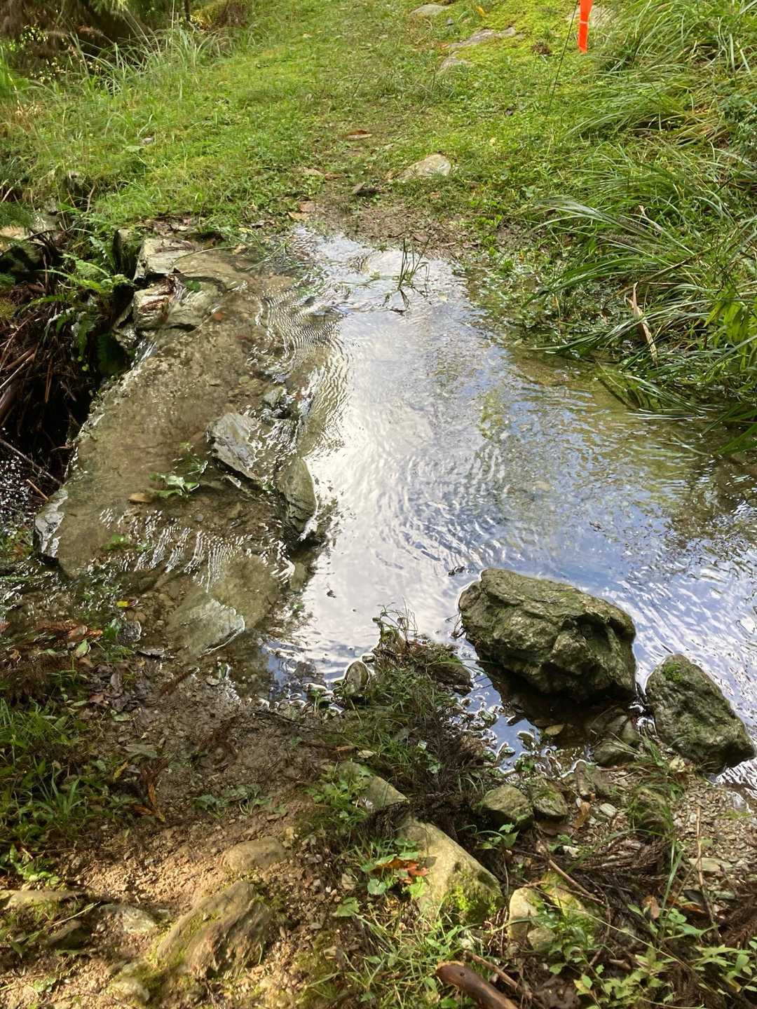 渡渉箇所です。