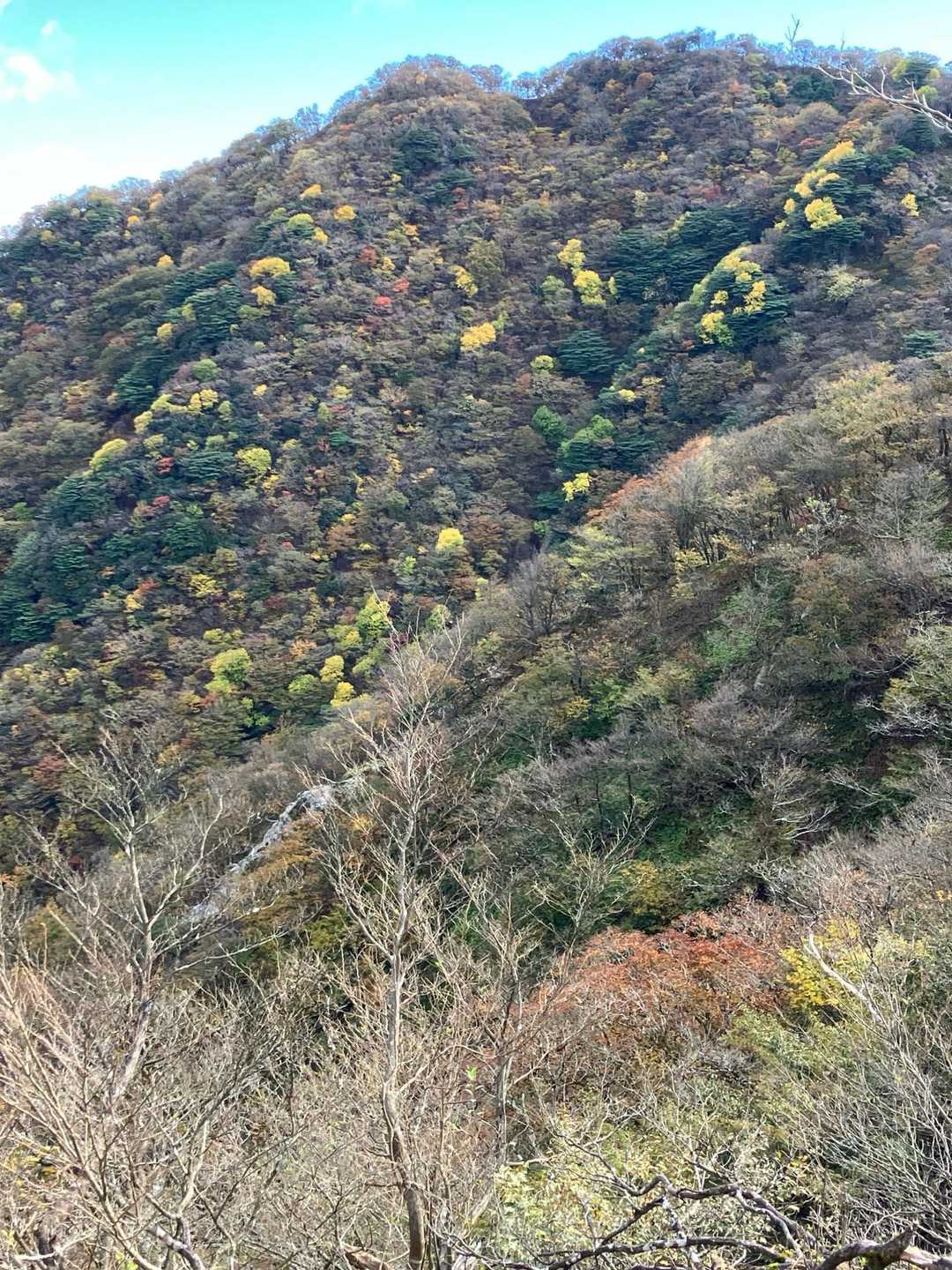 実際の方がきれいなので残念