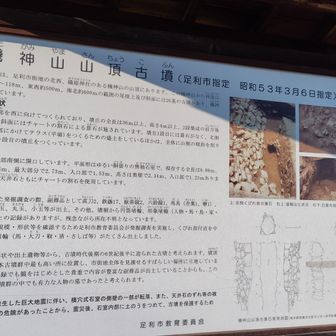 機神山⛰️11
古墳がお山です。立入禁止でピークまで行けませでしたがYAMAP判定でピークゲットしてました🤠