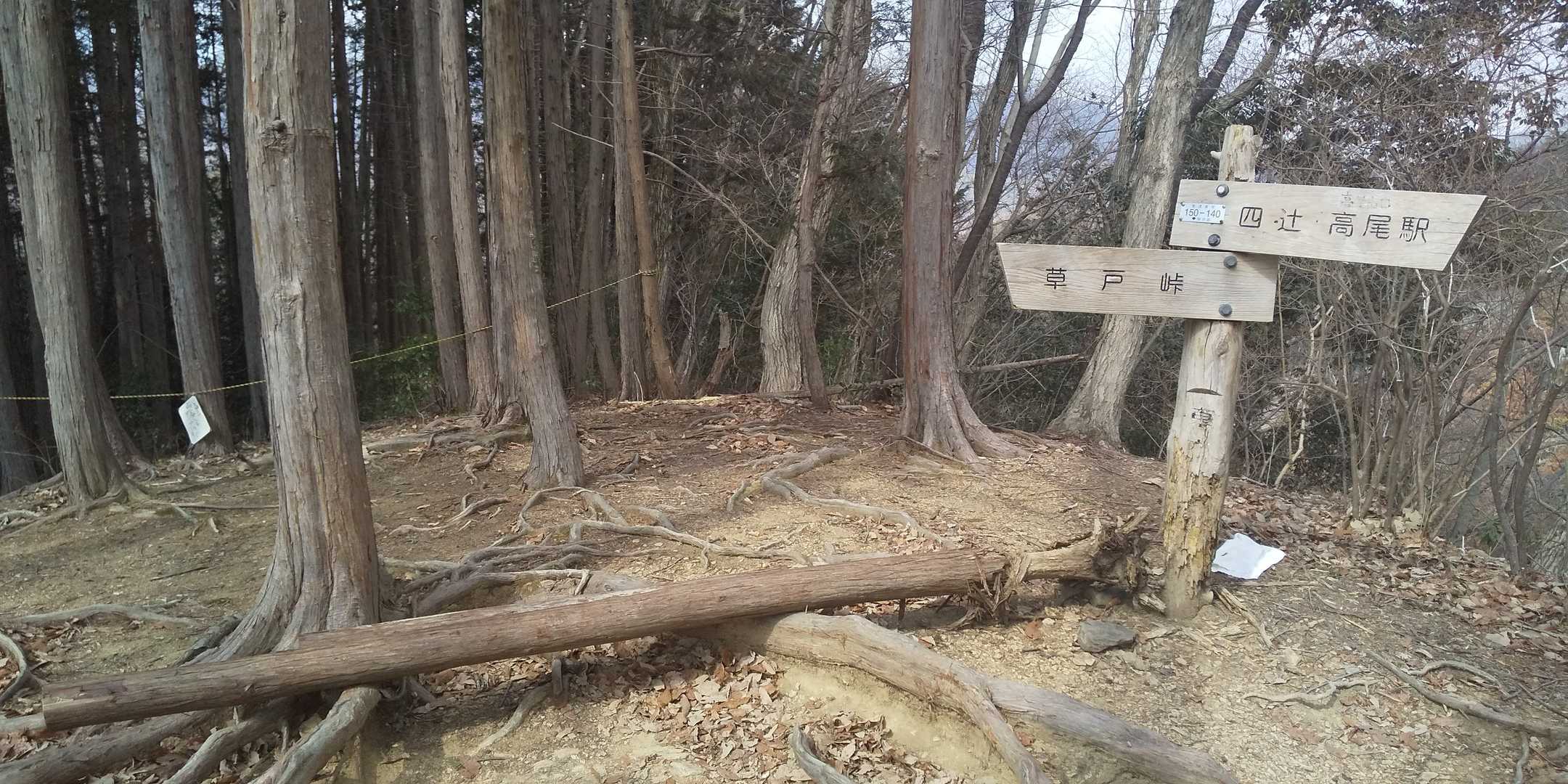 木に座って一休みしました