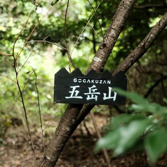 親切な看板至るところに有り🙇‍♂️