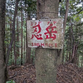 8座目　この山の下を山陽新幹線が走ってます。手前の急登が急すぎてヤバいです。ここはロープあります。