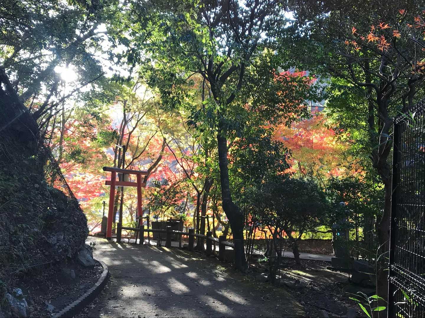 神々しい✨✨