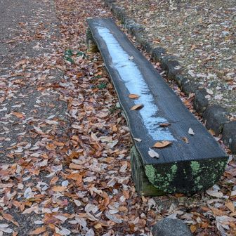 数日前の雪が残ってる