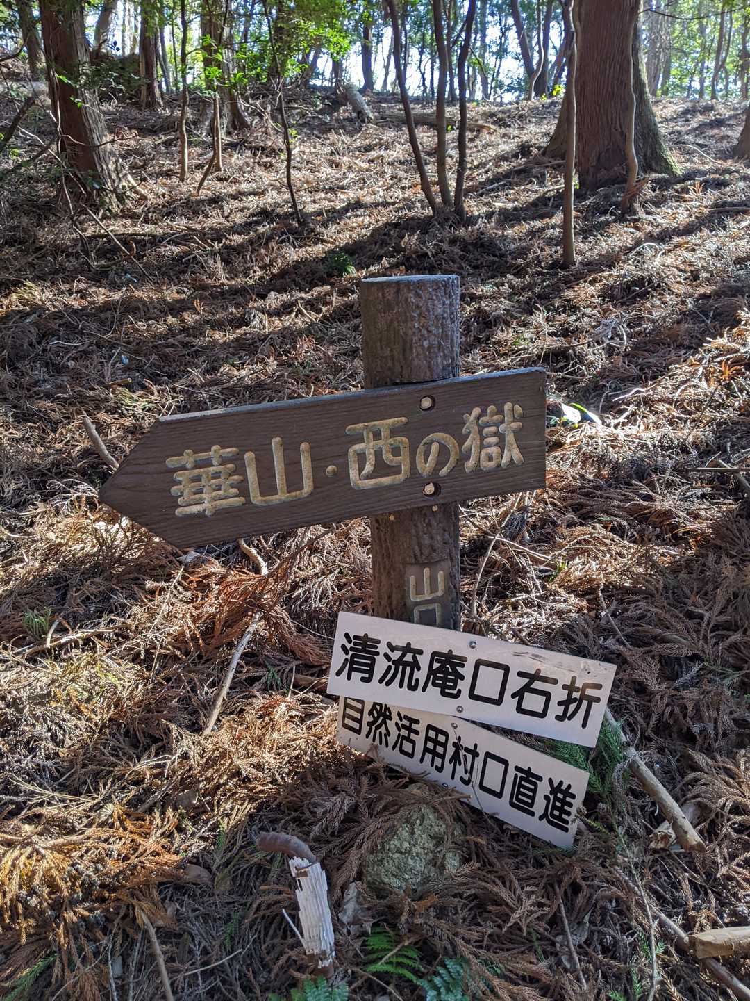 写真を撮るなど全く出来無い…うちに…なんとか…尾根道に出た