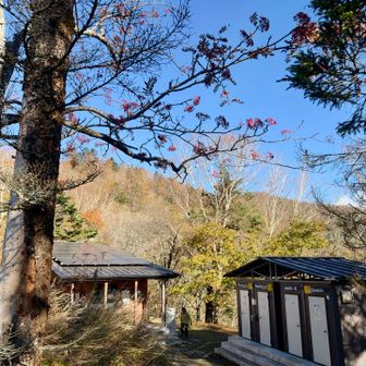 トイレがとてもきれい
¥100の協力金でした