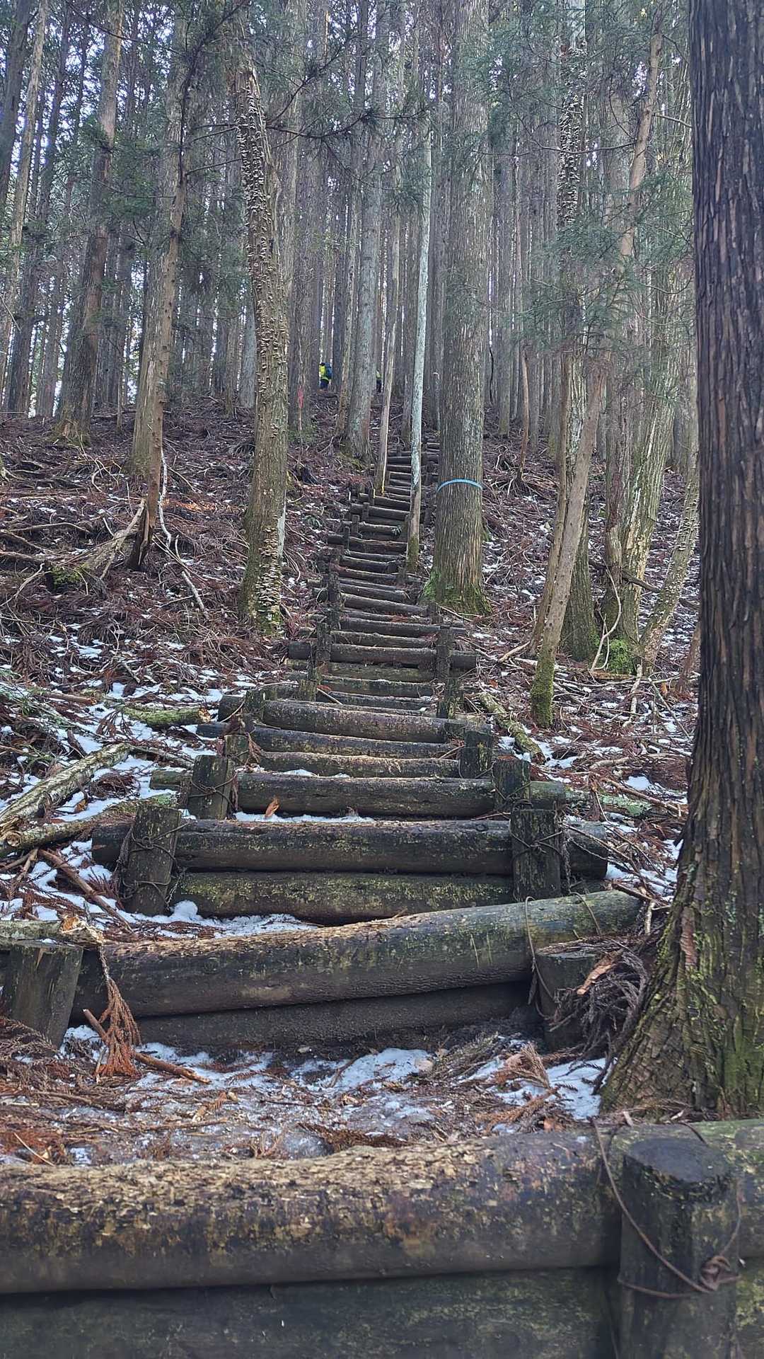 階段キツイ（汗）