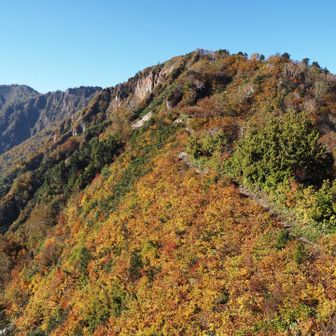 最初のピークかな🍁