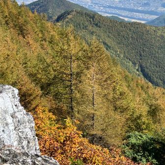 眼下の紅葉🍁カラマツも黄色くなってきました！カラマツの向こうが金松寺山です。