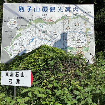 登山口の案内図