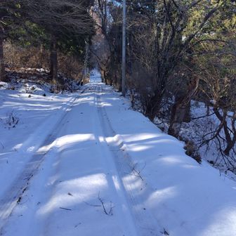 林道。普通車は雪で腹をこすりそうだ