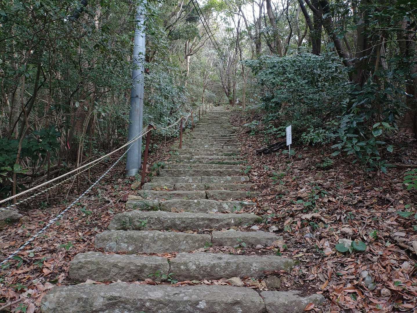 ずーっと階段です、修行の山（笑）