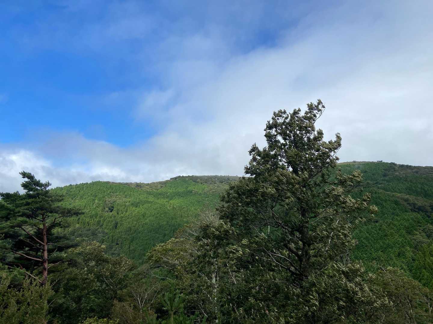 稜線に出たらガスが抜けて青空⭐