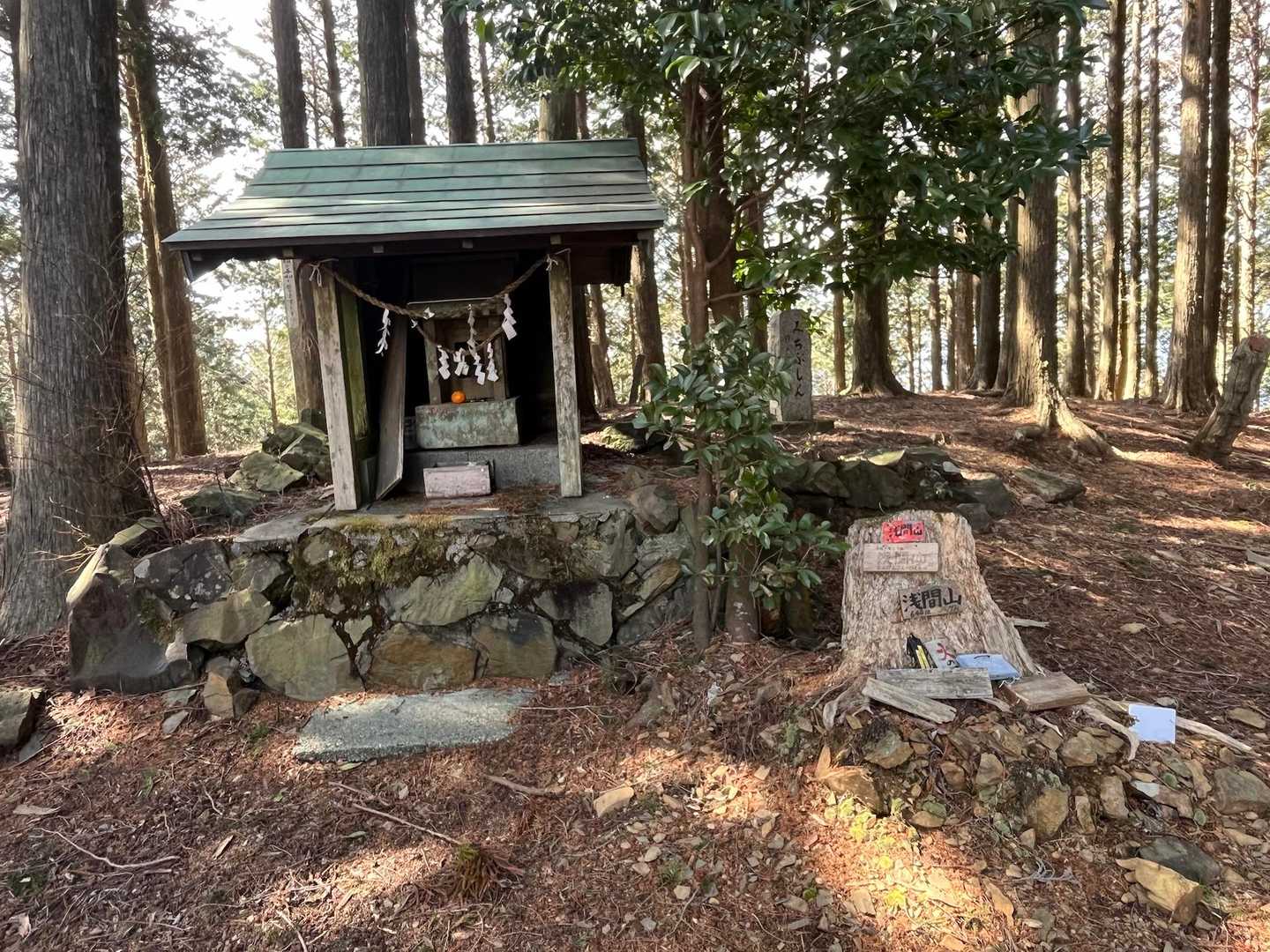 大森山-城山-弓張山-浅間山 周回コースの写真