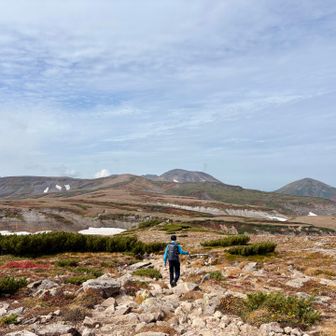 北海岳の登りまでは淡々とした登山道