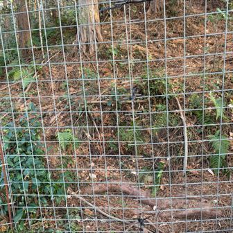 獣除けの柵を開いて登山開始