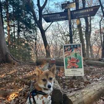 ひっそりとしてとても良い時間でした