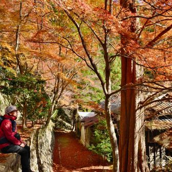 黄昏てるＨくん。