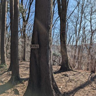 下山中のピーク