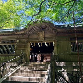 愛宕神社⛩️  清々しい💫