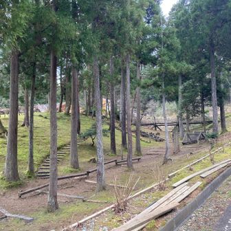 戻ってきました。