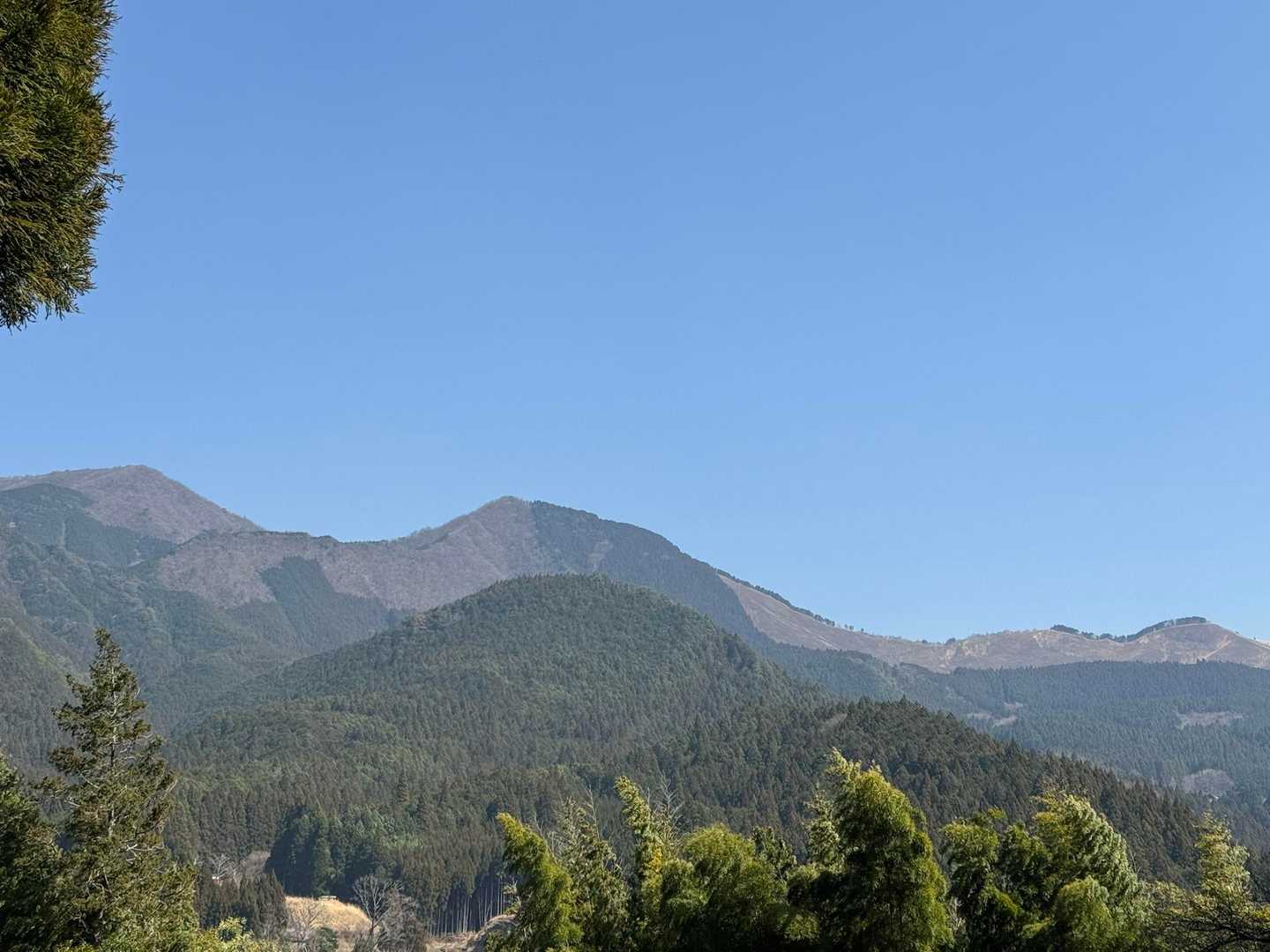 左の山が倶留尊山⛰️