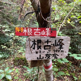 到着