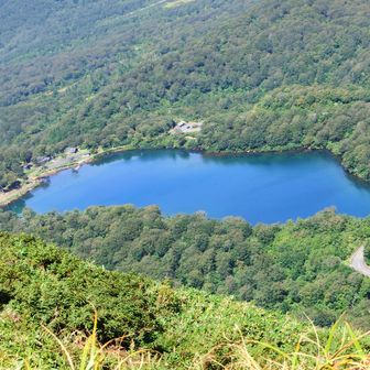 須川湖
青い瞳です