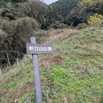 山口登山口から新立山方面に進みます。