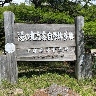駐車場に戻って終了。今日はここまで。
