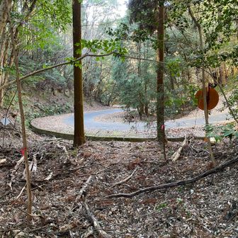 宮山取付きへ下山🚶
なかなかの急登でした…💦